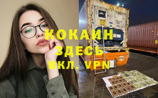 сатива Аркадак