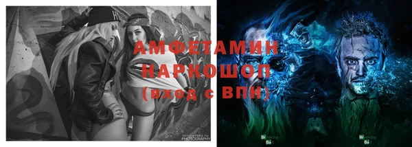 сатива Аркадак