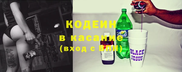 сатива Аркадак