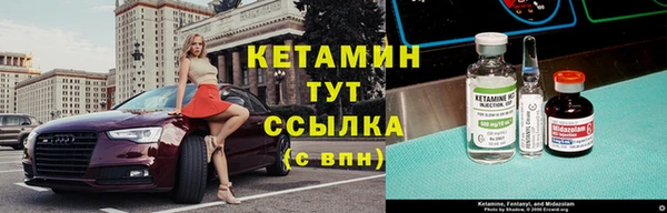 сатива Аркадак