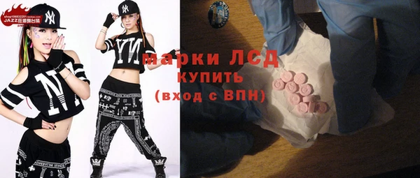 сатива Аркадак