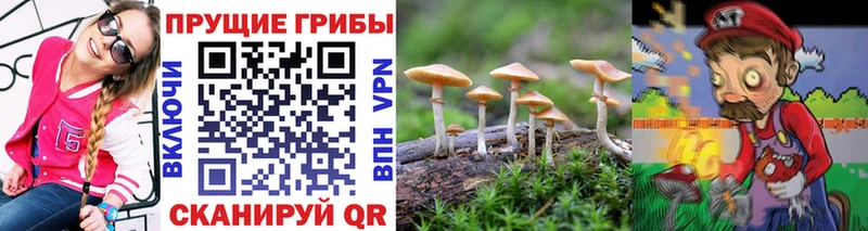 кракен онион  Новый Оскол  Галлюциногенные грибы GOLDEN TEACHER 